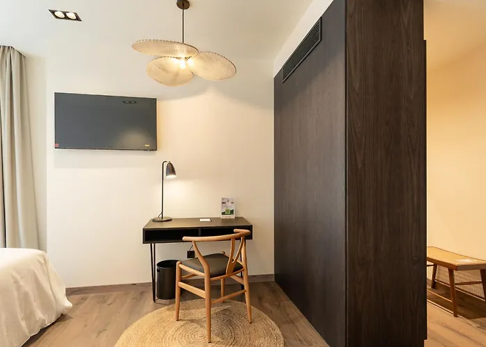 Sercotel Esteoeste 4* 卢戈