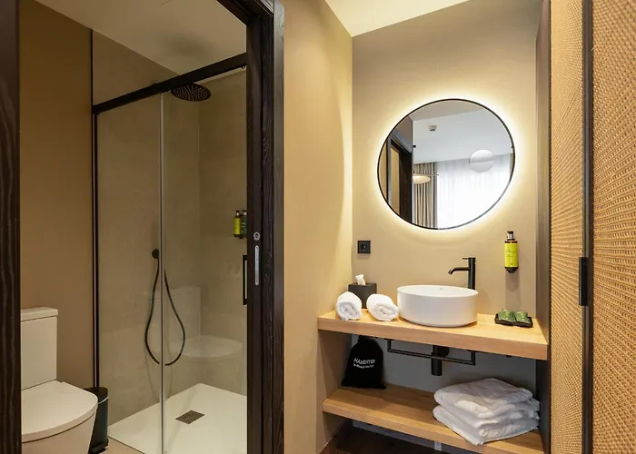 Sercotel Esteoeste 4* 卢戈